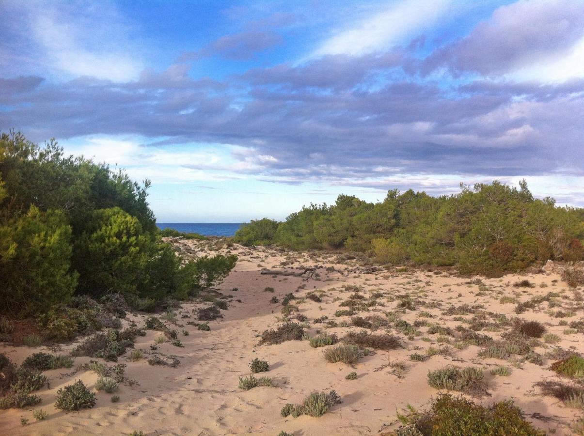 Apartment 50m From The With A Gym, Son Serra De Marina, Mallorca