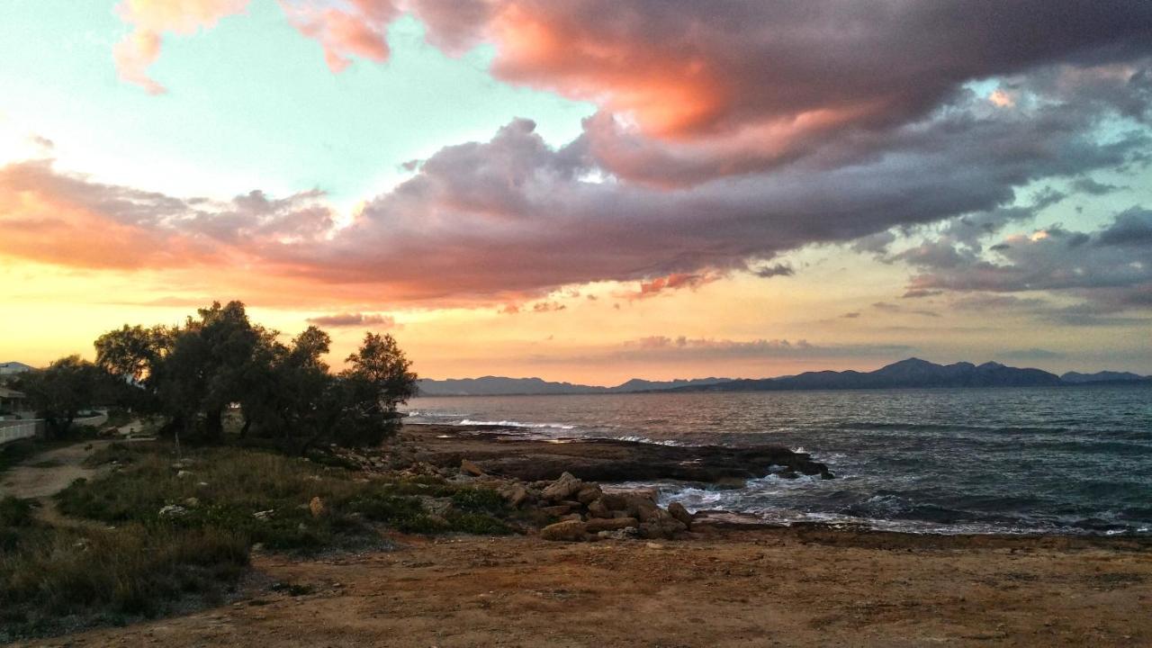 50m From The With A Gym, Son Serra De Marina, Mallorca Lejlighed Son Serra de Marina
